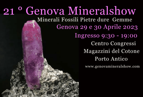 21-genova-mineralshow